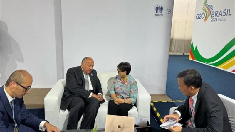 لقاء وزير الخارجية