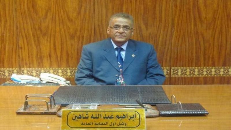 إبراهيم شاهين