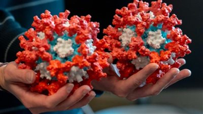 بعد تأكد ظهور متحور كورونا جيه.إن 11.. تسرب فيروسي جديد من الوافدين يرعب المصريين و”الوزراء” يردّ