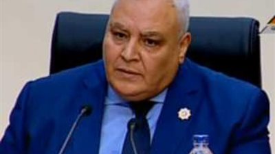 نص تقارير المنظمات الدولية عن انتخابات مجلس النواب