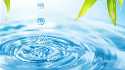 علي جمعة يكشف 4أنواع للماء وهذه أحكامه الشرعية