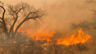 لعنة غزّة تطارد الولايات المتحدة من جديد.. بعد واقعة حرق آرون بوشنل لنفسه.. الإعلان عن «حالة الكارثة» وإجلاء السكان من منازلهم