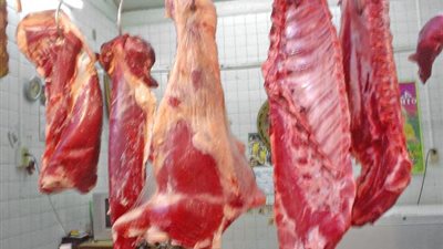 تعرف على حكم شراء لحوم من زكاة المال وتوزيعها على الفقراء