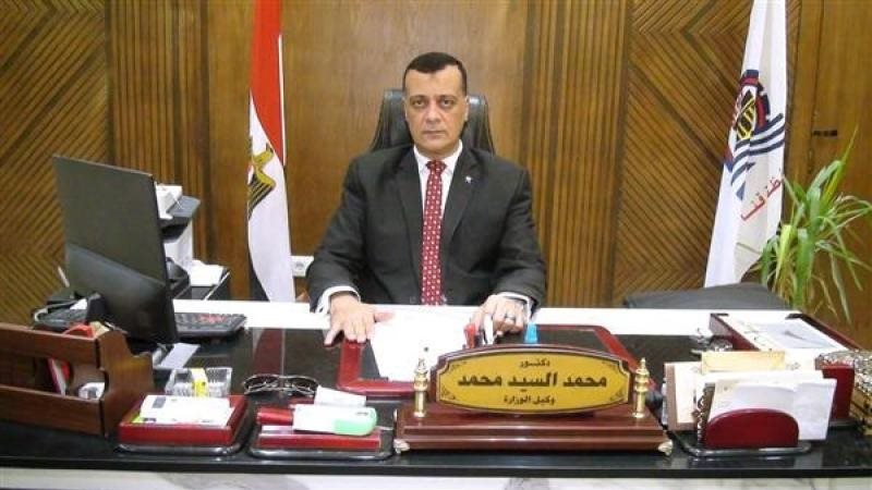 د.محمد السيد وكيل