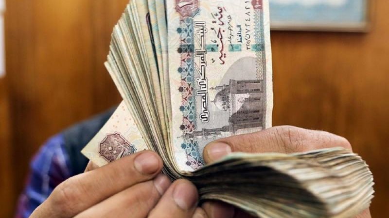 مرتبات المعلمين