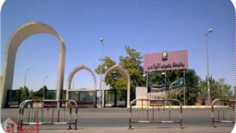 جامعة جنوب الوادى