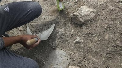 الكلب لم يفارقها لأكثر من 8400 عام.. اكتشاف جثة سيدة من العصر الحجري