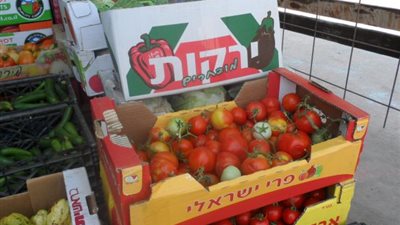 4 أصناف من الخضراوات بـ 5 جنيه .. تعرف عليهم