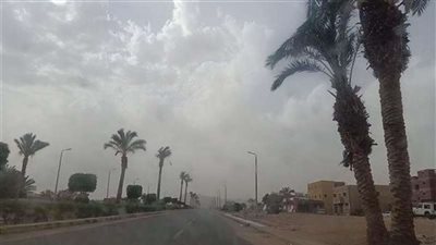 حالة الطقس غدا.. تحذيرات من الشبورة المائية في الصباح