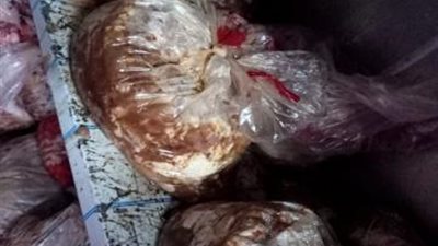 صور صادمة.. ضبط 22 طن لحوم ودواجن فاسدة بالجيزة
