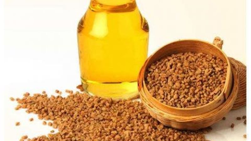 زيت الحلبة
