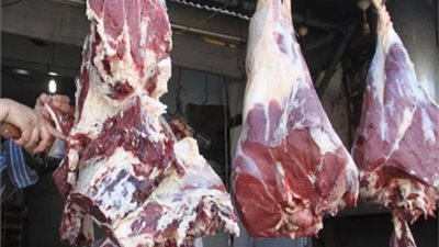 أسعار اللحوم «مستقرة» فى المحافظات
