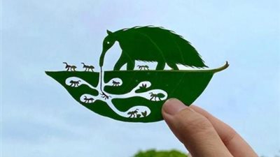 أغرب المنحوتات على أوراق الشجر الصغيرة.. فنان يابانى يشعل السوشيال ميديا برسوماته