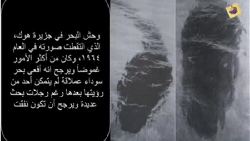 وحش البحر فى جزيرة