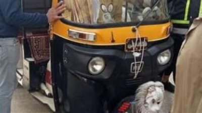 بسبب الأجرة.. حبس عاطل بتهمة طعن سائق توكتوك بالحوامدية