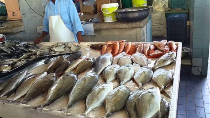 أرشيفية