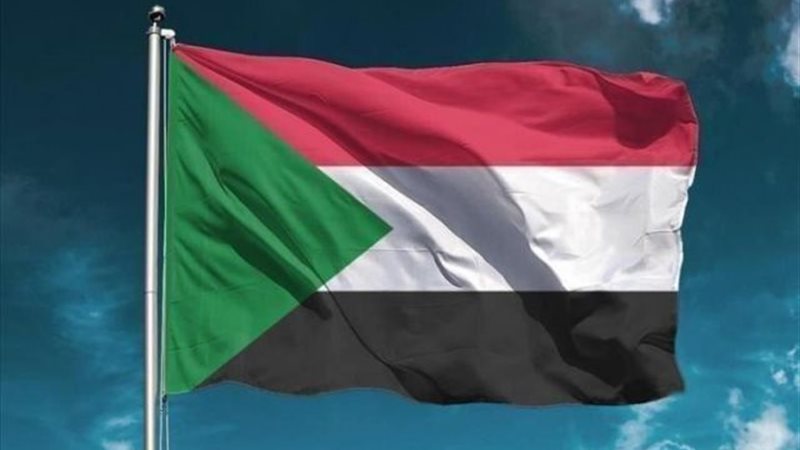 ما تناولته بعض المواقع