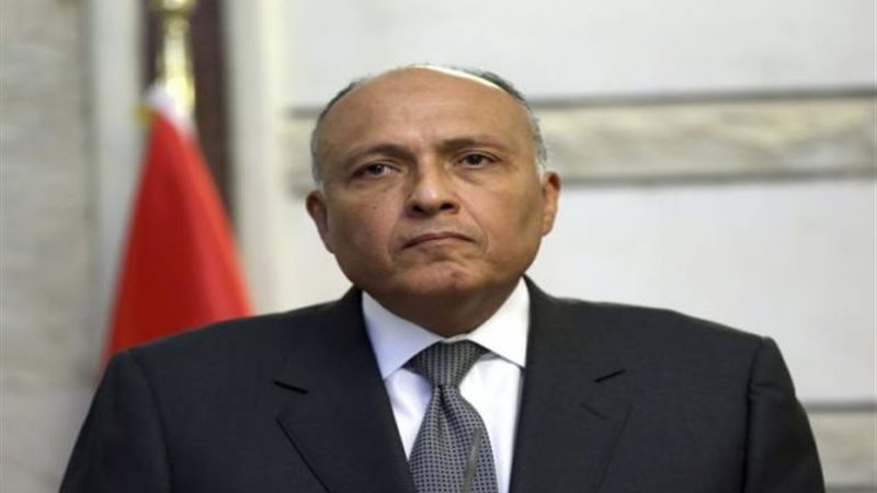 سامح شكرى