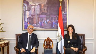 وزيرا التعليم والتعاون الدولي يعقدان اجتماعا لتعزيز سيل التعان في مجال التعليم «صور»