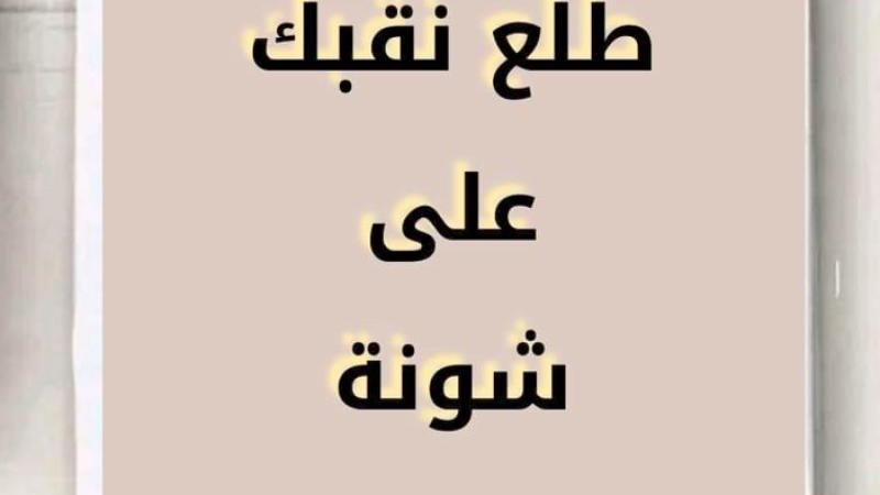 نقبك طلع على شونة