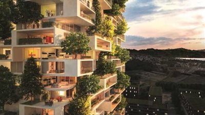 «بوسكو فيرتيكال».. ماذا تعرف عن الغابة العمودية؟