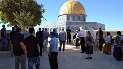 شاهد.. مرصد الأزهر ينتفض ضد الاقتحامات الصهيونية للمسجد الأقصى