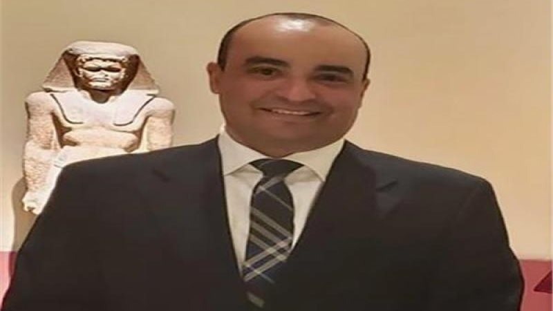 د. محمد إسماعيل أمين