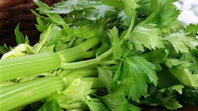 للكرفس 7 فوائد مذهلة ...تعرف  عليها