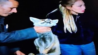 ”النهار” تعتذر عن حلقة صيد الثعالب وتؤكد حذفها