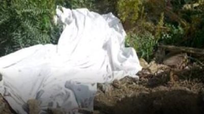 ترويها أم المجني عليه.. تفاصيل جديدة في واقعة قتل تاجر مواشي لإبنه بسوهاج