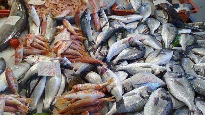 أسعار السمك