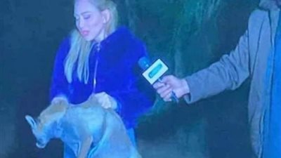 عاجل ..  ريهام سعيد فى قبضة النيابة العامة بعد بلاغ سمير صبرى