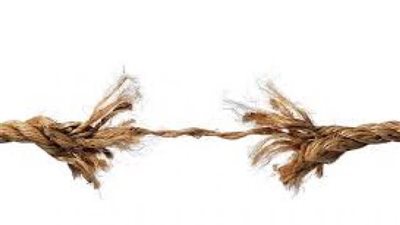 أستاذ شريعة يكشف أزمة خطيرة تمر بها صلة الرحم.. تعرف عليها