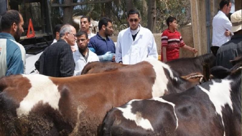 الحملة القومية لتحصين