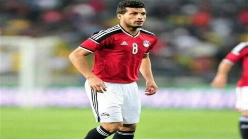 طارق حامد
