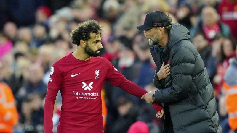 ليفربول ضد برايتون