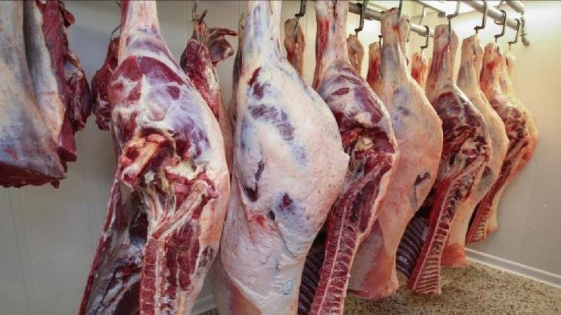 هبوط أسعار اللحوم
