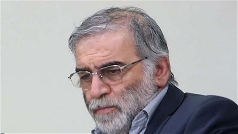 محسن زادة