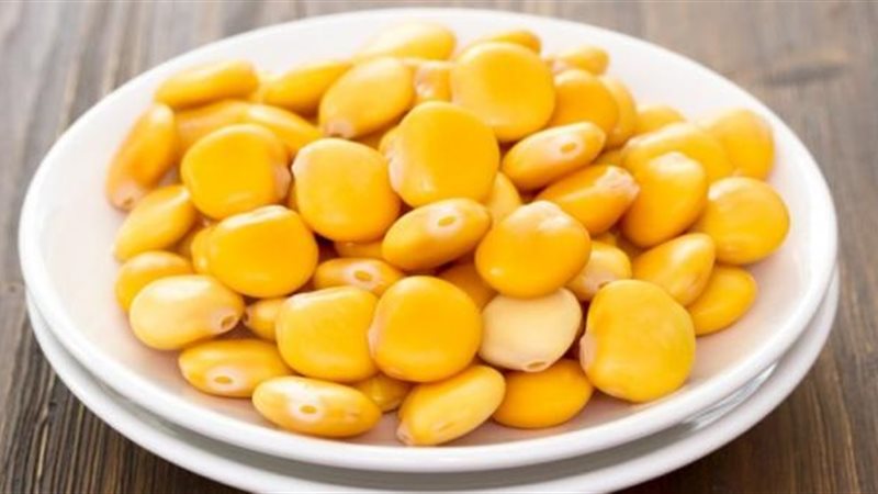 الترمس