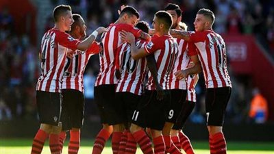 ساوثامبتون يستعيد نغمة الفوز في الدوري الانجليزي على حساب برايتون بثنائية