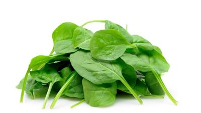 8  فوائد مهمة للسبانخ..منها خسارة الوزن