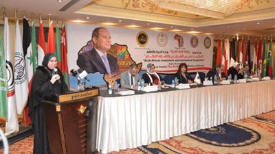 نيفين جامع : تعزيز الروابط الإستثمارية بين دول المنطقة العربية والإفريقية ركيزة أساسية لتحقيق خطط التنمية