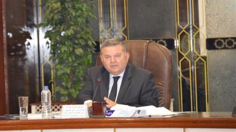 وزير قطاع الأعمال
