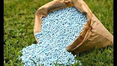 الزراعة وراء نزيف خسائر شركات الأسمدة .. تعرف على التفاصيل