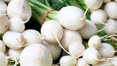 ماذا تعرفين عن فوائد اللفت الأبيض السحرية