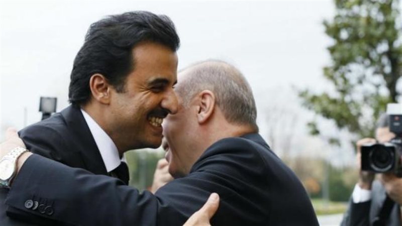 أردوغان وتميم