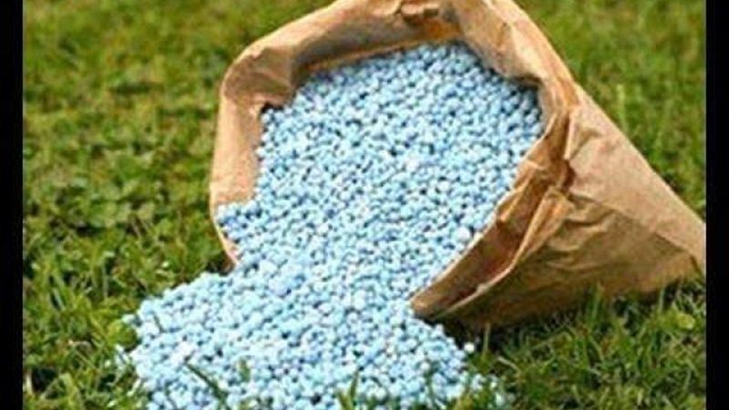 الموجز