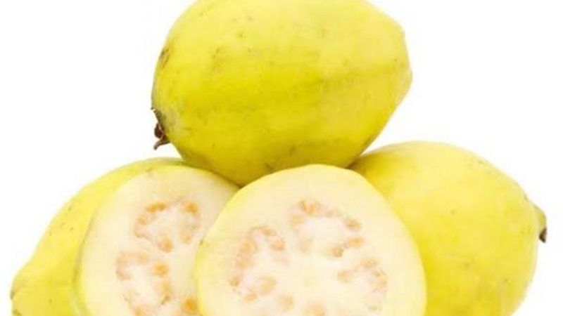 الجوافة