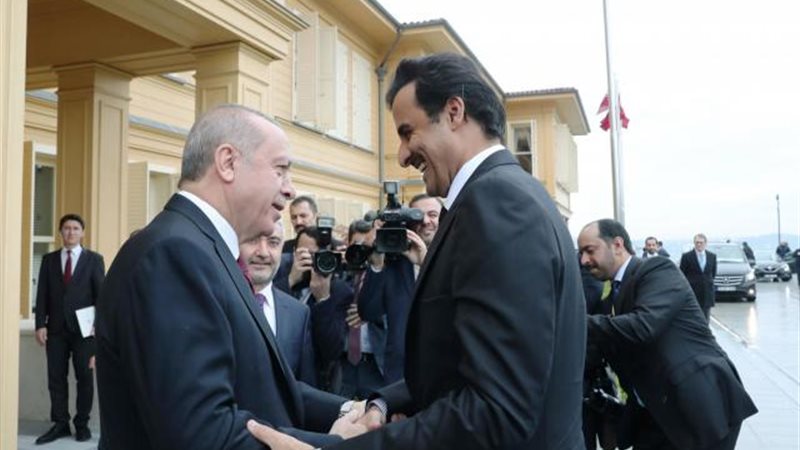 أردوغان وتميم