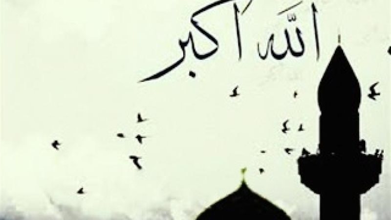 الموجز
